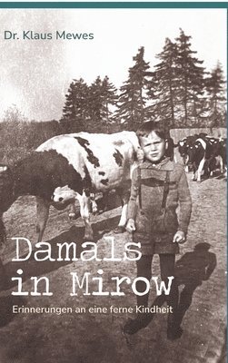 Klaus Mewes - Damals in Mirow: Erinnerungen an eine ferne Kindheit, Inbunden