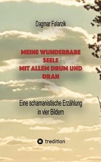 bokomslag Meine wunderbare Seele mit allem Drum und Dran: Eine schamanistische Erzählung in vier Bildern