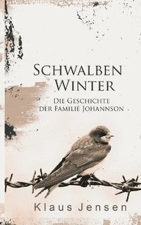 bokomslag Schwalbenwinter