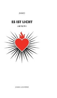 bokomslag Es ist Licht