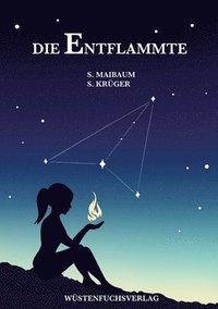 bokomslag Entflammte