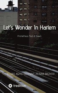 bokomslag Let's Wonder In Harlem