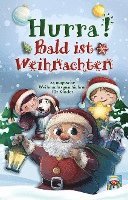Lese Papagei - Hurra! Bald ist Weihnachten!, Häftad