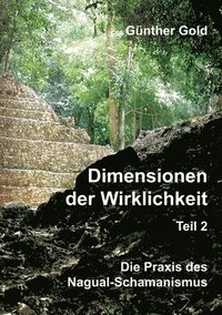 bokomslag Dimensionen der Wirklichkeit - Teil 2: Die Praxis des Nagual-Schamanismus - in der mittel-amerikanischen Tolteken-Tradition