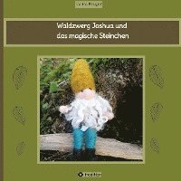bokomslag Waldzwerg Joshua und das magische Steinchen