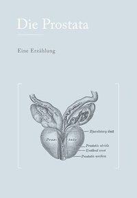 bokomslag Die Prostata: Eine Erzählung