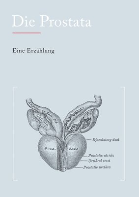 bokomslag Die Prostata: Eine Erzählung