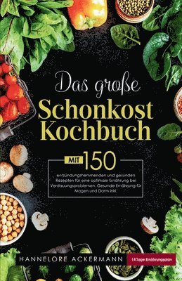 bokomslag Das große Schonkost Kochbuch! Gesunde Ernährung für Magen und Darm! 1. Auflage