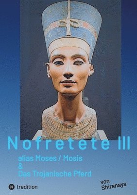 bokomslag Nofretete / Nefertiti / Echnaton