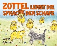 bokomslag Zottel lernt die Sprache der Schafe