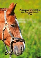 bokomslag Pferdegesundheit: Pflege und Therapie für dein Pferd