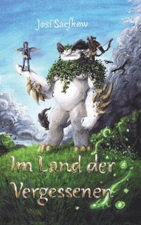 bokomslag Im Land der Vergessenen - Fantasyroman mit mehr als 100 handgezeichneten Illustrationen.