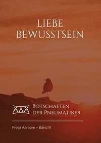bokomslag Liebe Bewusstsein