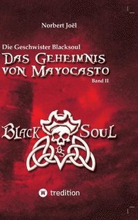 bokomslag Die Geschwister Blacksoul: Das Geheimnis von Mayocasto
