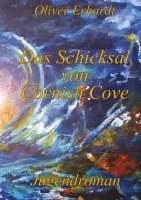 bokomslag Das Schicksal von Cornish Cove: Das große Finale der Cornish Cove Reihe