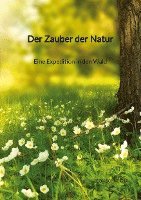 bokomslag Der Zauber der Natur - Eine Expedition in den Wald