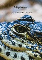 bokomslag Alligatoren - Jäger und Beute im Tierreich