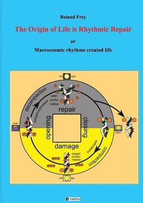 bokomslag The origin of life is rhythmic repair or Macrocosmic rhythms created life: To survive, complementary primordial life molecules had to become self-repa