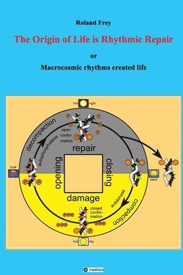 The origin of life is rhythmic repair or Macrocosmic rhythms created life: To survive, complementary primordial life molecules had to become self-repa 1