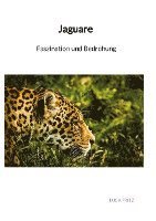 bokomslag Fritz, L: Jaguare - Faszination und Bedrohung