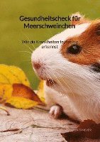 bokomslag Gesundheitscheck für Meerschweinchen - Wie du Krankheiten frühzeitig erkennst