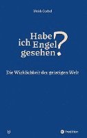 bokomslag Habe ich Engel gesehen? Übersinnliche Wahrnehmungen - Blicke ins Jenseits