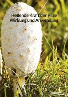 Heilende Kraft der Pilze Wirkung und Anwendung 1