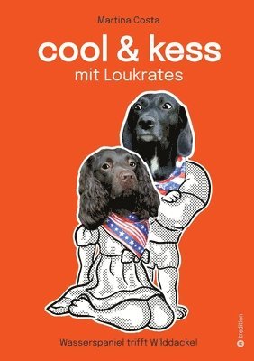 Cool und kess mit Loukrates: Wasserspaniel trifft Wilddackel 1