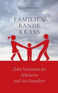 bokomslag Familienbande krass: Zehn Varianten des Scheiterns und ein Gutachter