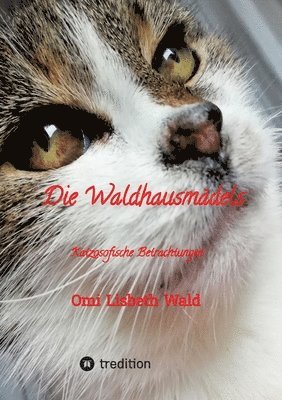 bokomslag Die Waldhausmädels ,Tagebuchnotizen von Katze Lisbeth aus dem Leben mit ihrer Dosenöffnerin