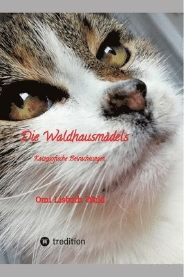 bokomslag Die Waldhausmädels, Tagebuchnotizen von Katze Lisbeth aus dem Leben mit ihrer Dosenöffnerin: Katzosofische Betrachtungen, humorvoll und trocken erzähl