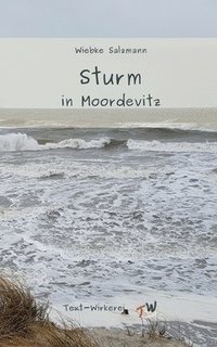 bokomslag Sturm in Moordevitz