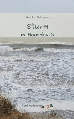 bokomslag Sturm in Moordevitz