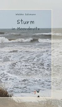 bokomslag Sturm in Moordevitz