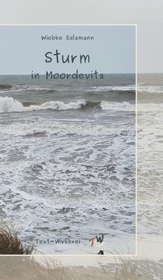 bokomslag Sturm in Moordevitz