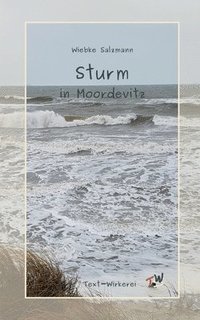 bokomslag Sturm in Moordevitz