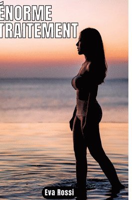 Eva Rossi - Énorme Traitement: 9 Contes Érotiques de Sexe Hard Français - Erotic Stories for Adults in French, Inbunden