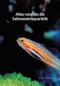 bokomslag Alles rund um die Salzwasseraquaristik