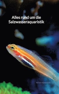 bokomslag Alles rund um die Salzwasseraquaristik