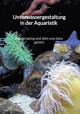 bokomslag Unterwassergestaltung in der Aquaristik - Aquascaping und alles was dazu gehört