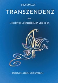 bokomslag Transzendenz: mit Meditation, Psychedelika und Yoga