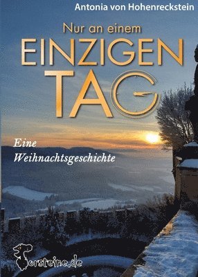 bokomslag Nur an einem einzigen Tag: Eine Weihnachtsgeschichte