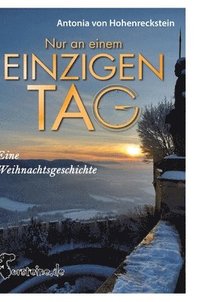 bokomslag Nur an einem einzigen Tag: Eine Weihnachtsgeschichte