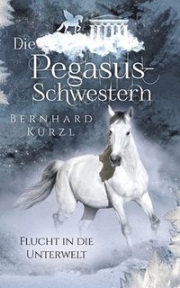 bokomslag Die Pegasus-Schwestern: Flucht in die Unterwelt