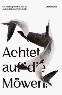 bokomslag Achtet auf die Möwen!
