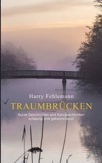 bokomslag Traumbrücken: Kurze Geschichten und Kurzgeschichten - schaurig und geheimnisvoll