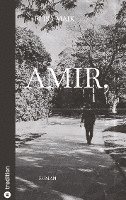 bokomslag Amir,