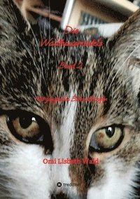 bokomslag Die Waldhausmädels: Katzosofische Betrachtungen
