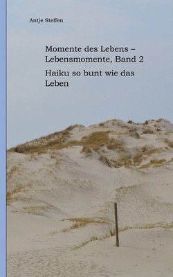 bokomslag Momente des Lebens - Lebensmomente Band 2: Haiku so bunt wie das Leben