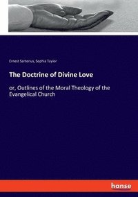 bokomslag The Doctrine of Divine Love